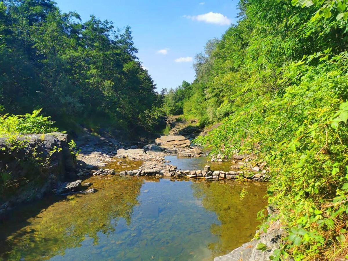 Aloha Glamp - Okragle Domki Przy Rzece - Balia I Sauna - Energylandia Zagornik Bagian luar foto